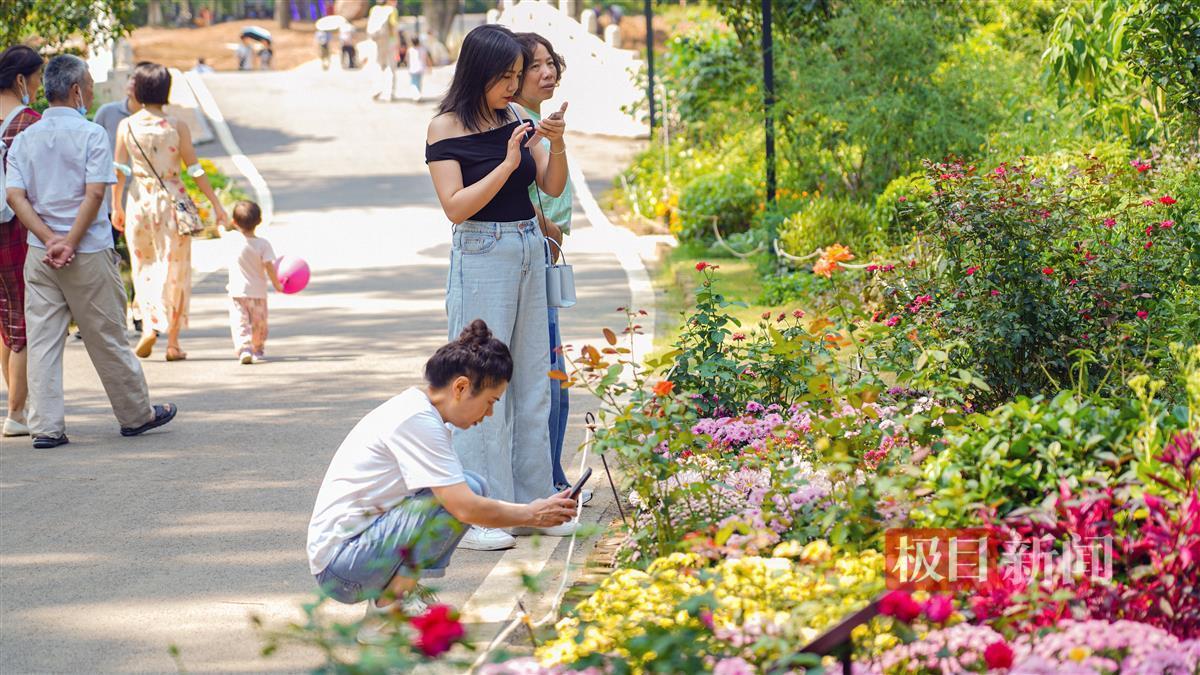 摩登彩票注册登录平台